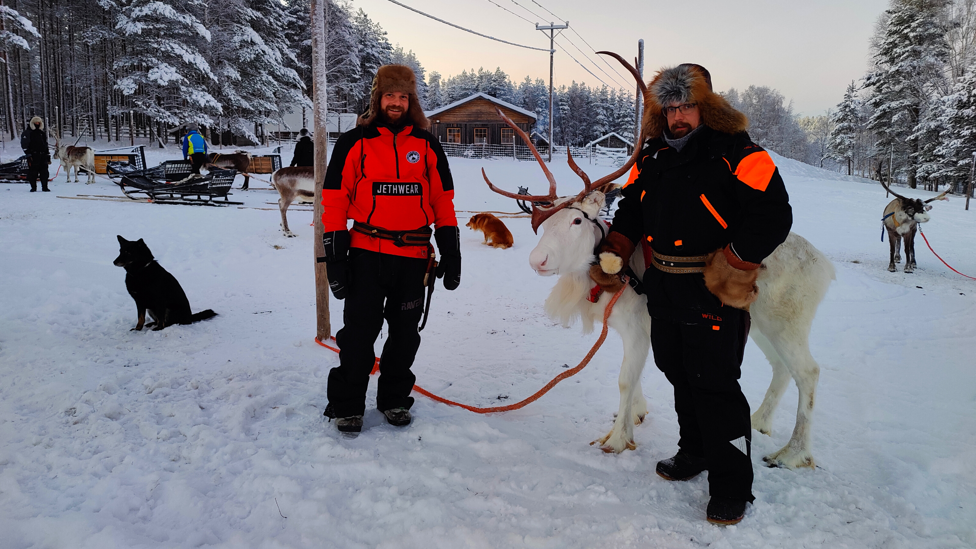 SieriPoro Safaris Rovaniemen Vuoden 2022 Maaseutuyritys Tervolan Kunta