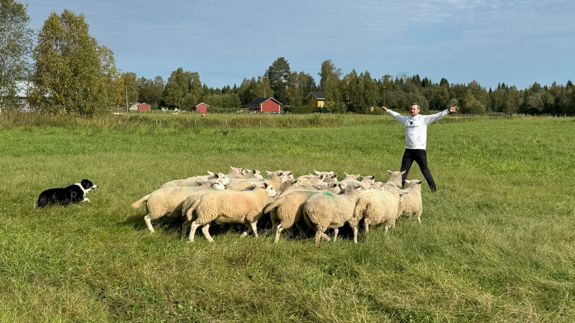 Maaseutuyrittäjien tarinoihin kuvia, aiemmat(18)