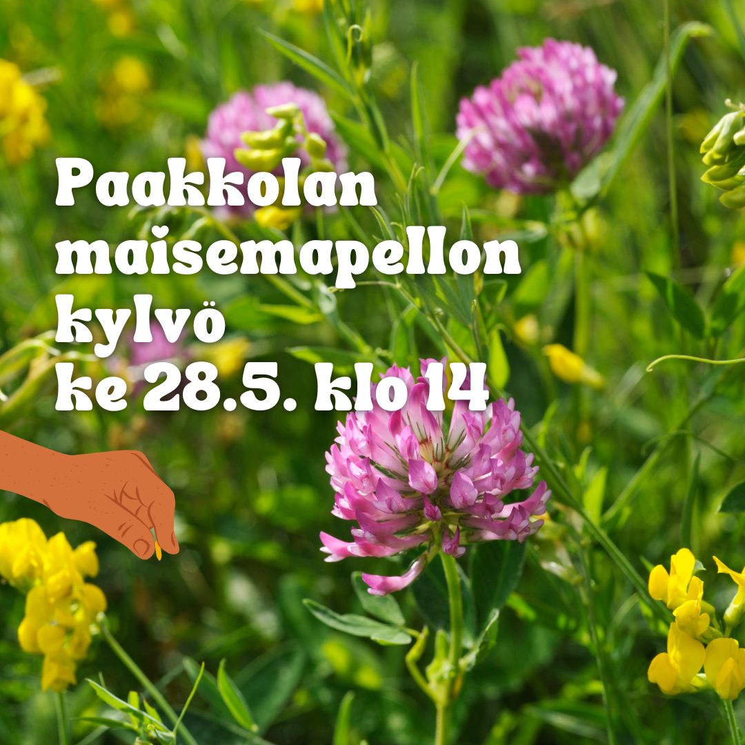 paakkolan-kylvo.jpg