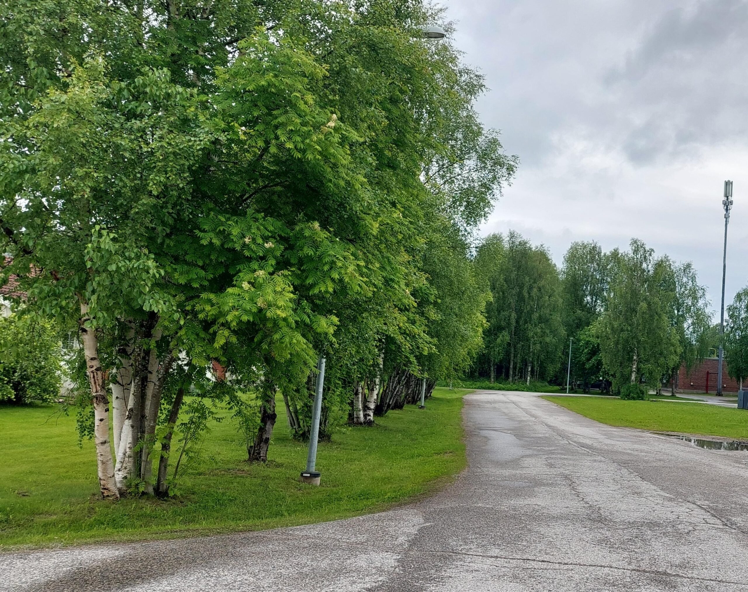20250624_142649 Päiväkodintie