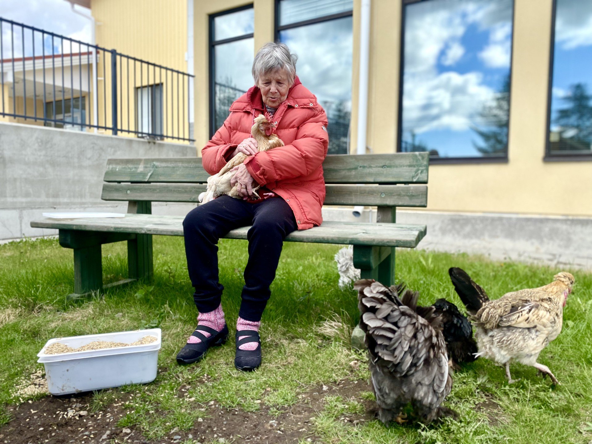 Kanat4 Airi Huhta kana sylissään.