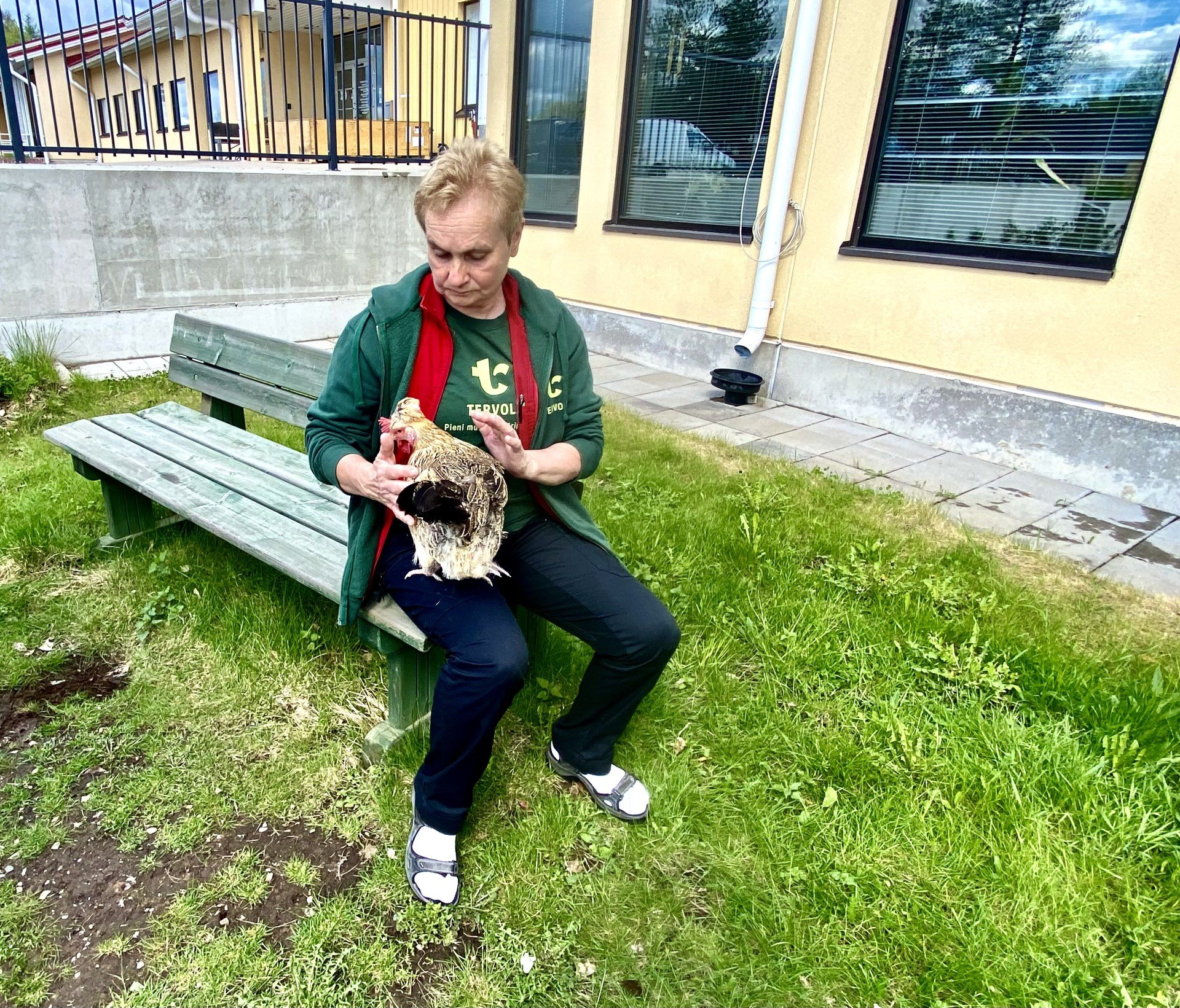 Kanat8 Virikeojaaja Eila Juntikka kana sylissään.