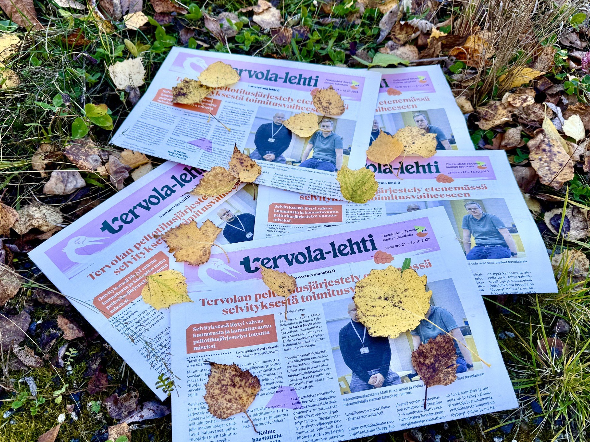 Tervola-lehtiä.